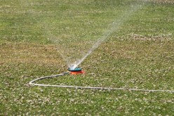 Repairs and Fixes to Expect in the Summer