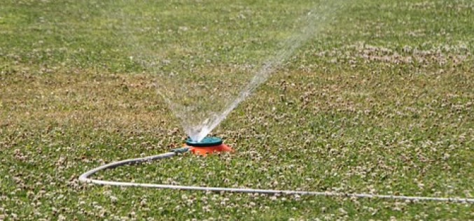 Repairs and Fixes to Expect in the Summer