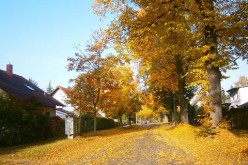 5 Home Renovations You Want to Make Before this Fall
