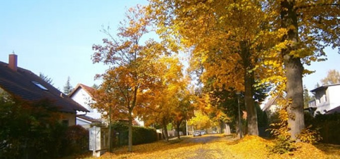 5 Home Renovations You Want to Make Before this Fall