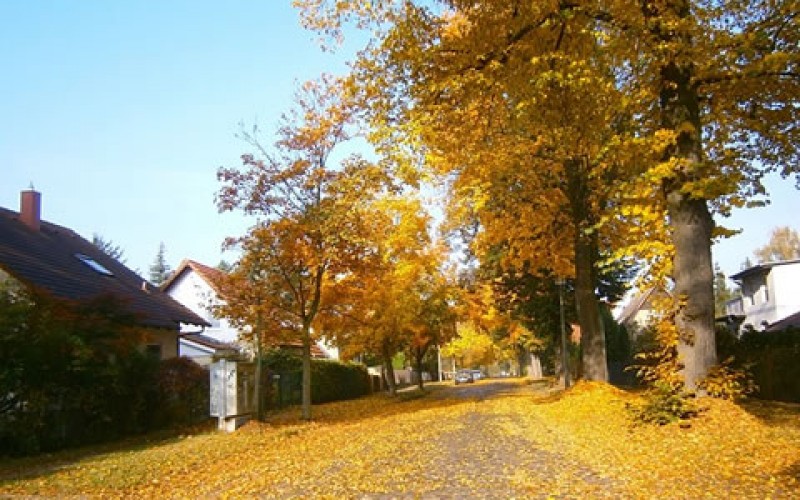 5 Home Renovations You Want to Make Before this Fall