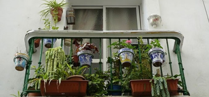 5 Home Repairs to Make before the Fall