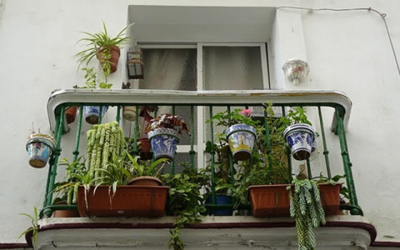 5 Home Repairs to Make before the Fall