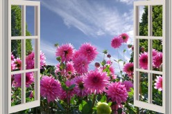 Tips for Making Home Windows More Beautiful