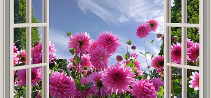 Tips for Making Home Windows More Beautiful