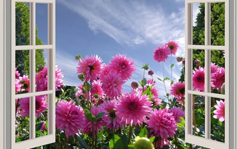 Tips for Making Home Windows More Beautiful