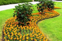 Final Touches: Best Ways to Get Your New Yard in Fast
