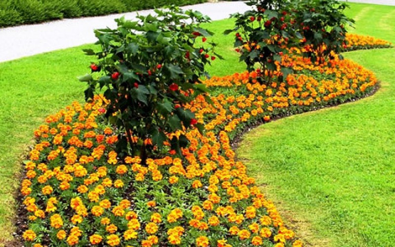 Final Touches: Best Ways to Get Your New Yard in Fast