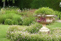 DIY Landscaping Made Easy
