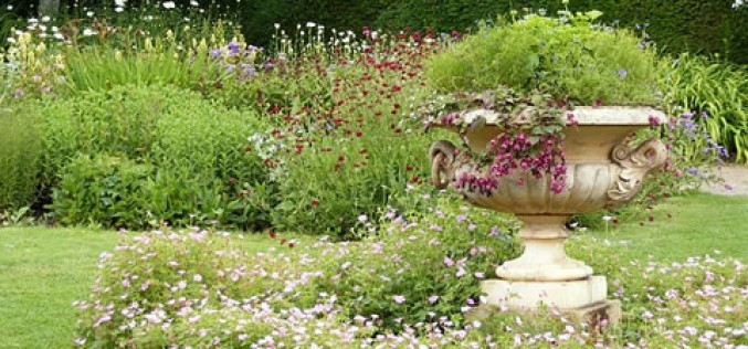 DIY Landscaping Made Easy