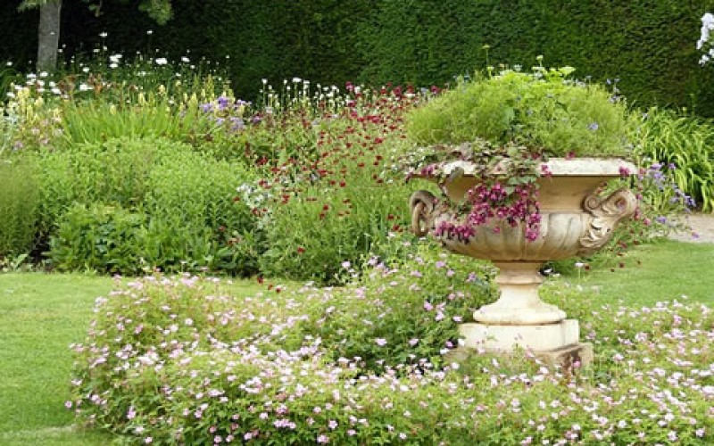 DIY Landscaping Made Easy