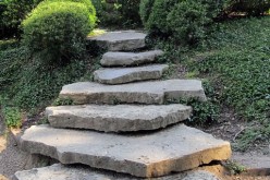 Landscape Renovation: How to Restore Your Beautiful Yard