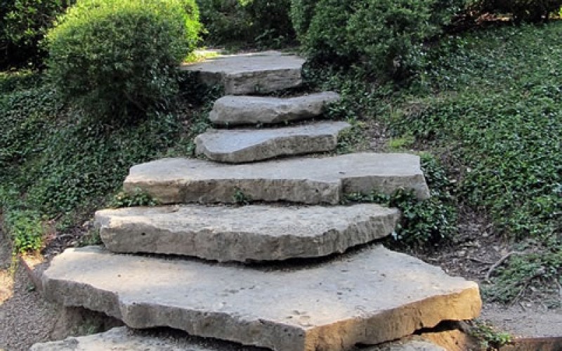 Landscape Renovation: How to Restore Your Beautiful Yard