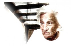 The Ultimate (Palindrome Filled) Guide to Helping Seniors Move Homes