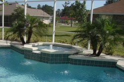 Year Round Spa: Everything You Need for a Backyard Paradise