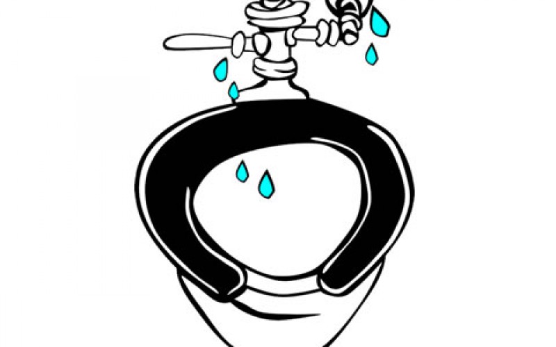 Toilet Trouble? Stave off the Flood with These Tips
