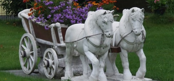 5 Unique Landscaping Ideas that Aren’t Too “Out There” for Your House