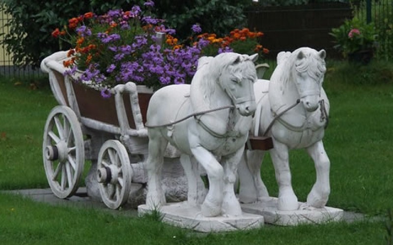 5 Unique Landscaping Ideas that Aren’t Too “Out There” for Your House