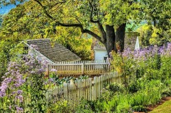 Home Renovations: How to Make and Maintain the Beauty of Your Yard