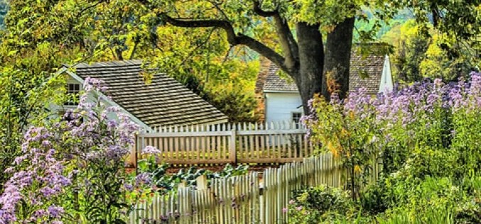 Home Renovations: How to Make and Maintain the Beauty of Your Yard