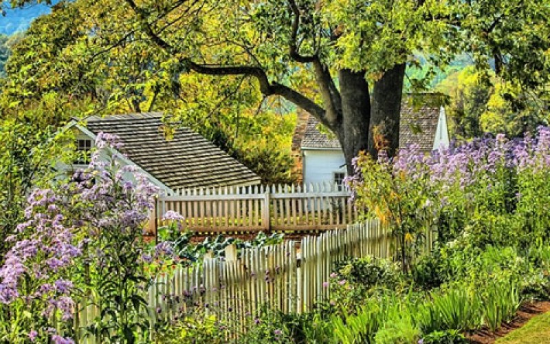 Home Renovations: How to Make and Maintain the Beauty of Your Yard