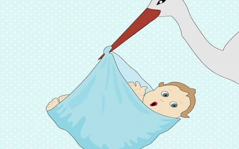 Newborn On The Way