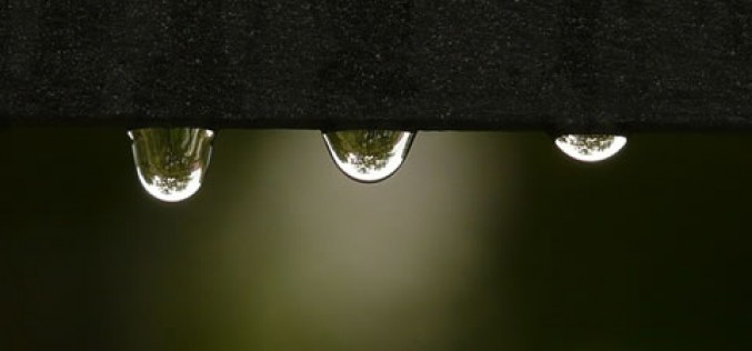 How to Identify Water Damage Early