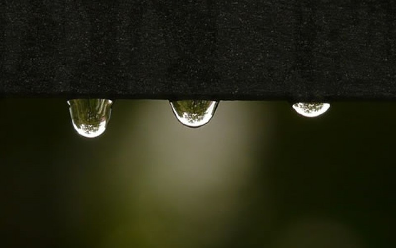 How to Identify Water Damage Early