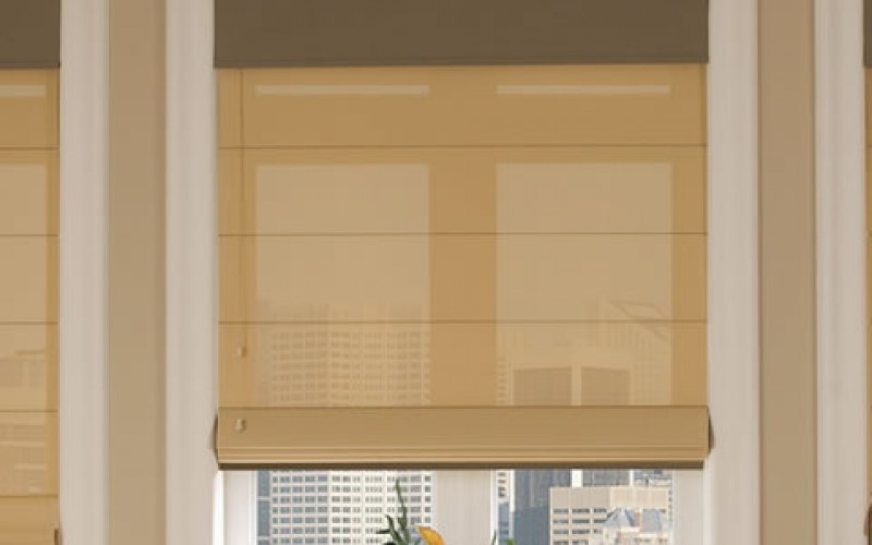 Custom Roman Blinds add Personality