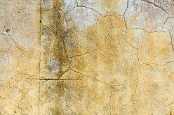 Moving In: Steps for Freshening Up an Old House