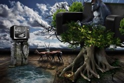 Can You Dump Your Cable TV? Learn the Facts