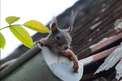 DIY Maintenance for 5 Areas in the Home