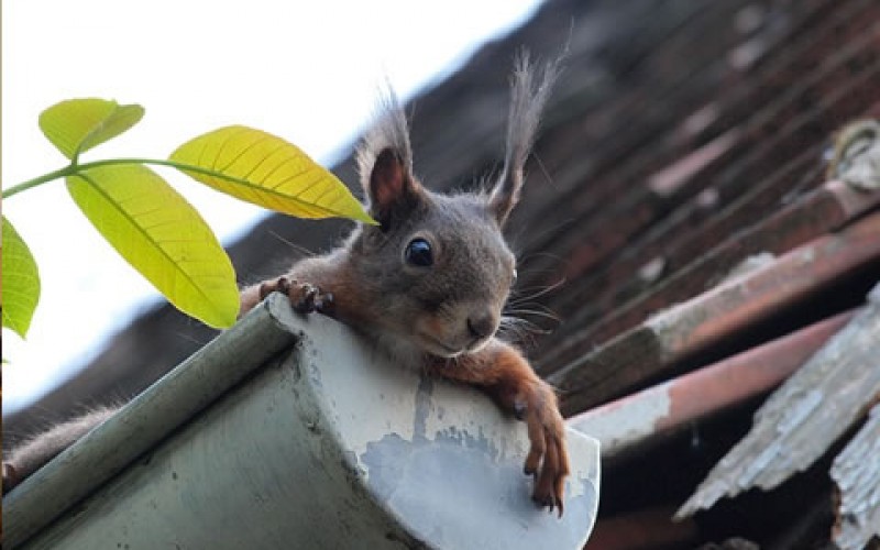 DIY Maintenance for 5 Areas in the Home