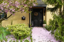 Landscaping Tips for Small Gardens
