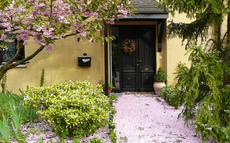 Landscaping Tips for Small Gardens