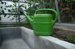 The Different Benefits of Using Green Houses