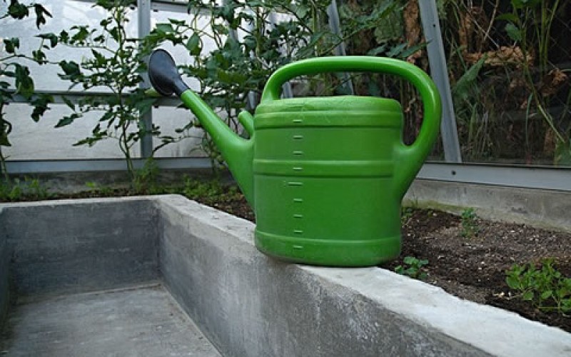 The Different Benefits of Using Green Houses