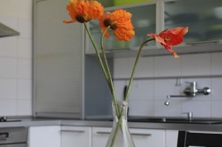 Renovating Your Kitchen Without Destroying it First