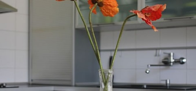 Renovating Your Kitchen Without Destroying it First