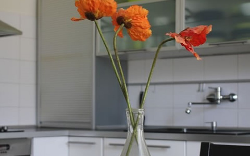Renovating Your Kitchen Without Destroying it First