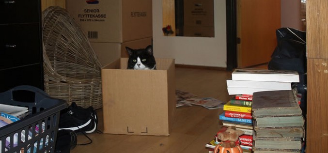 Ideas on Preparing Your Home in the Lead up to a Move