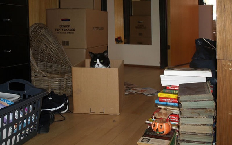 Ideas on Preparing Your Home in the Lead up to a Move