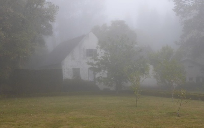 Here’s How to Rainproof Your Home in 6 Easy Steps