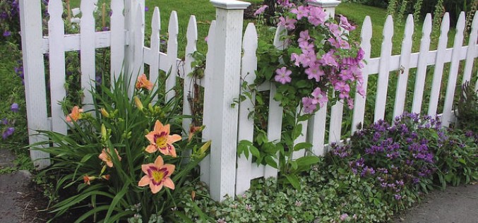 Landscaping and Landscape Products