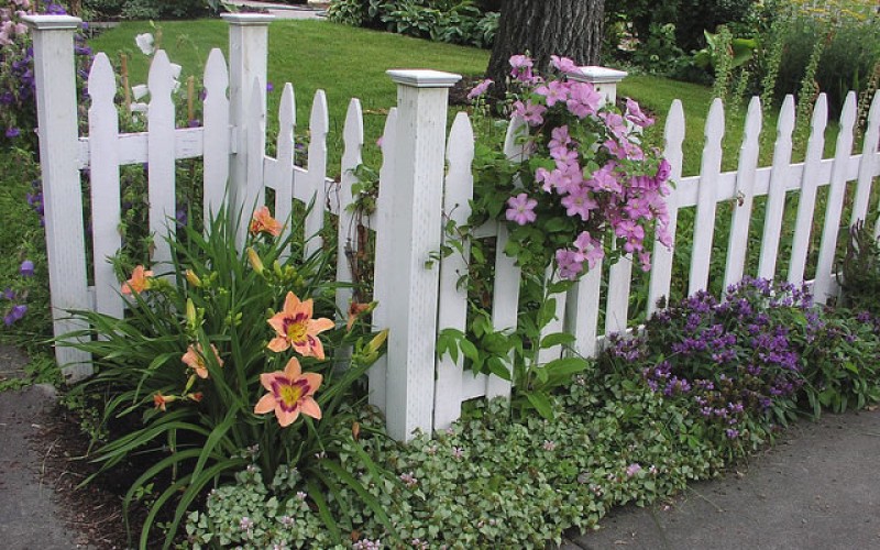 Landscaping and Landscape Products