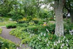 Several Refreshing Ideas for Rearranging Your Garden