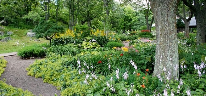 Several Refreshing Ideas for Rearranging Your Garden