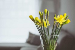 7 Quick Home Decorating Tips to Add Style to Any Room