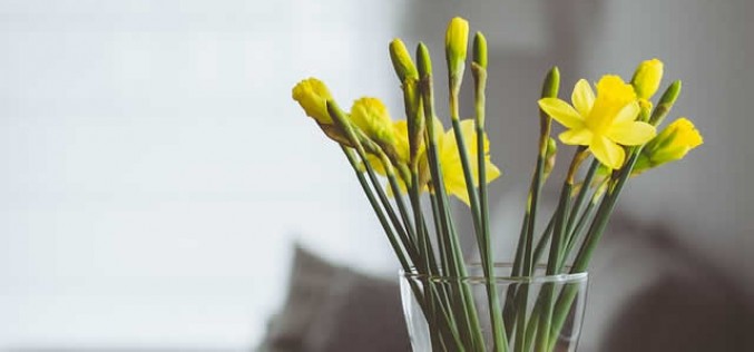 7 Quick Home Decorating Tips to Add Style to Any Room