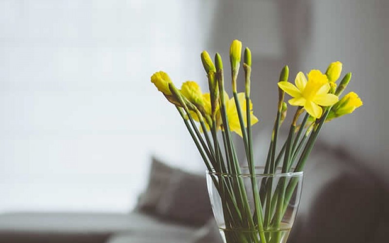 7 Quick Home Decorating Tips to Add Style to Any Room